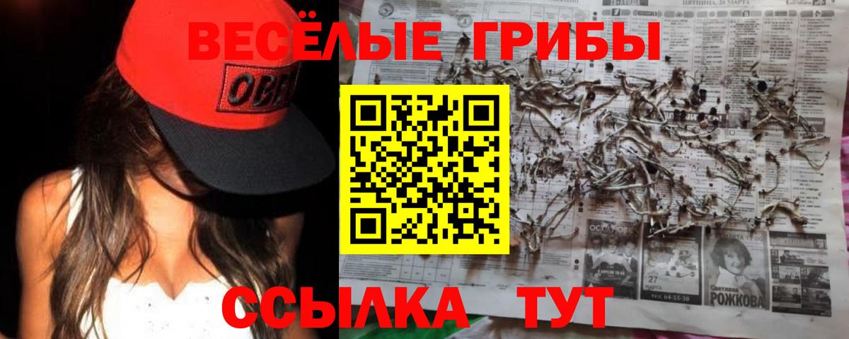 Псилоцибиновые грибы мицелий Рузаевка